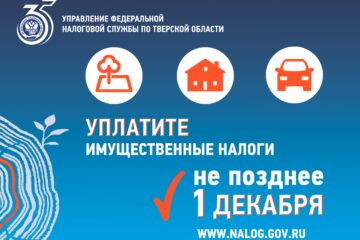 1 декабря — срок уплаты имущественных налогов